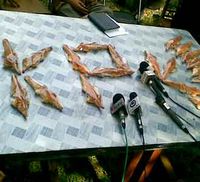 Dukung KPK dengan Roti Buaya